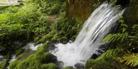 Nestle: hands off our drinking water!