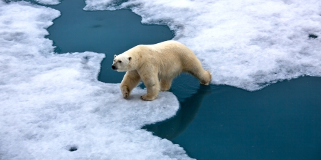 G7: Sauvez l'Accord de Paris sur le climat