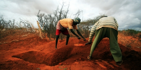 Stop the Starvation