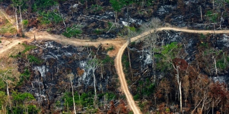 Brazil: no amnesty for Amazon criminals!