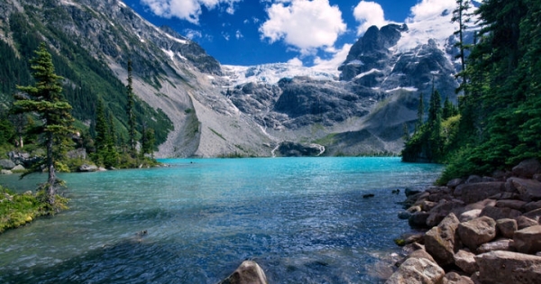 Avaaz - Canada: recognize our right to a healthy environment