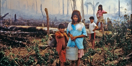 Europe: Save the Amazon!