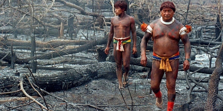 Brazil: protect the indigenous lands now!