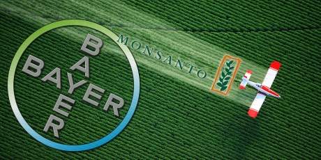 Bundeskartellamt: Stop the Monsanto-Bayer Merger