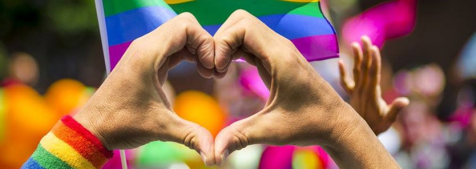 Diga NÃO à "Cura Gay"!