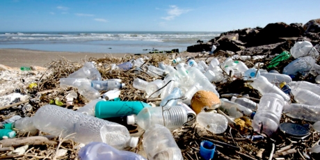 Secretary Gove: End the Plastic Plague Now!