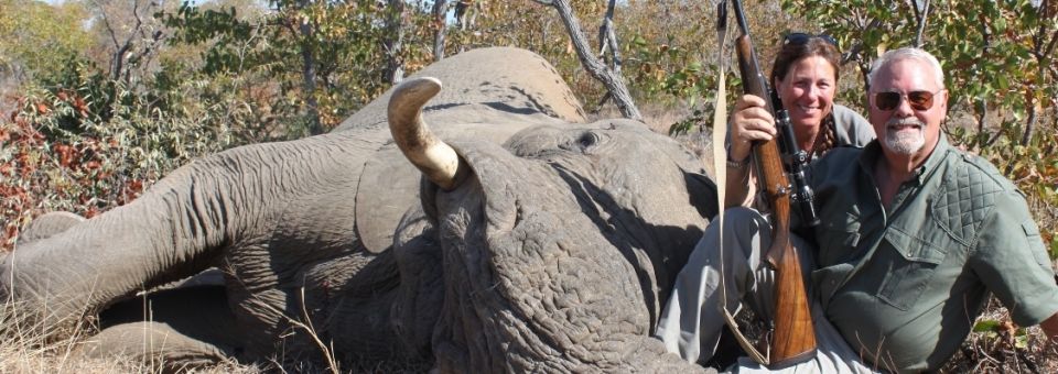 Fermiamo il massacro di elefanti di Trump
