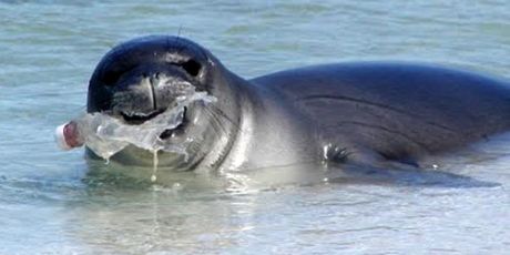 Coca-Cola: Stop choking our oceans