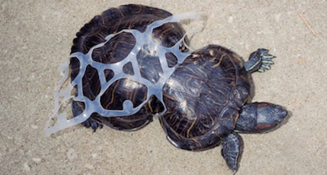 End the plastic plague