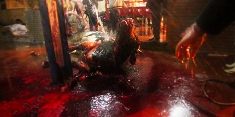 EU: Stop animal torture