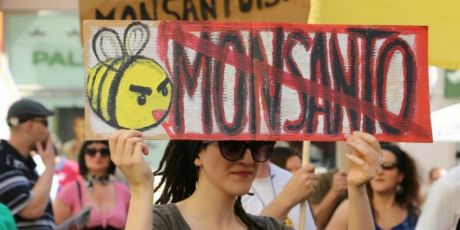 Envoyez un message à Monsanto