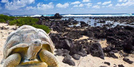 Protejamos esta isla paradisíaca