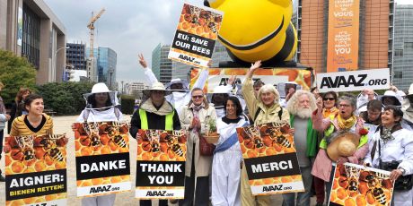 Vendredi à Bruxelles: célébrons les abeilles!