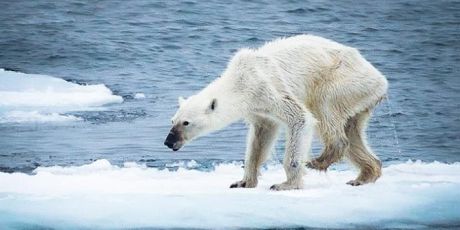 Kill coal, not the planet!