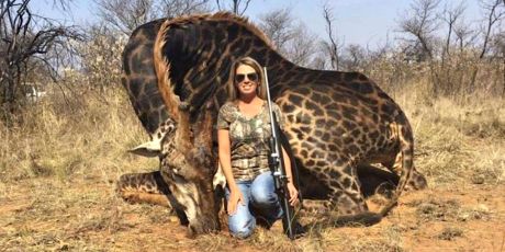 Ban giraffe "trophies" -- endangered status now!