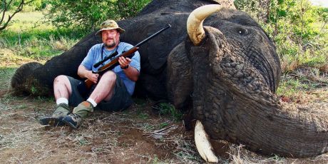 Botswana: Stop the elephant slaughter