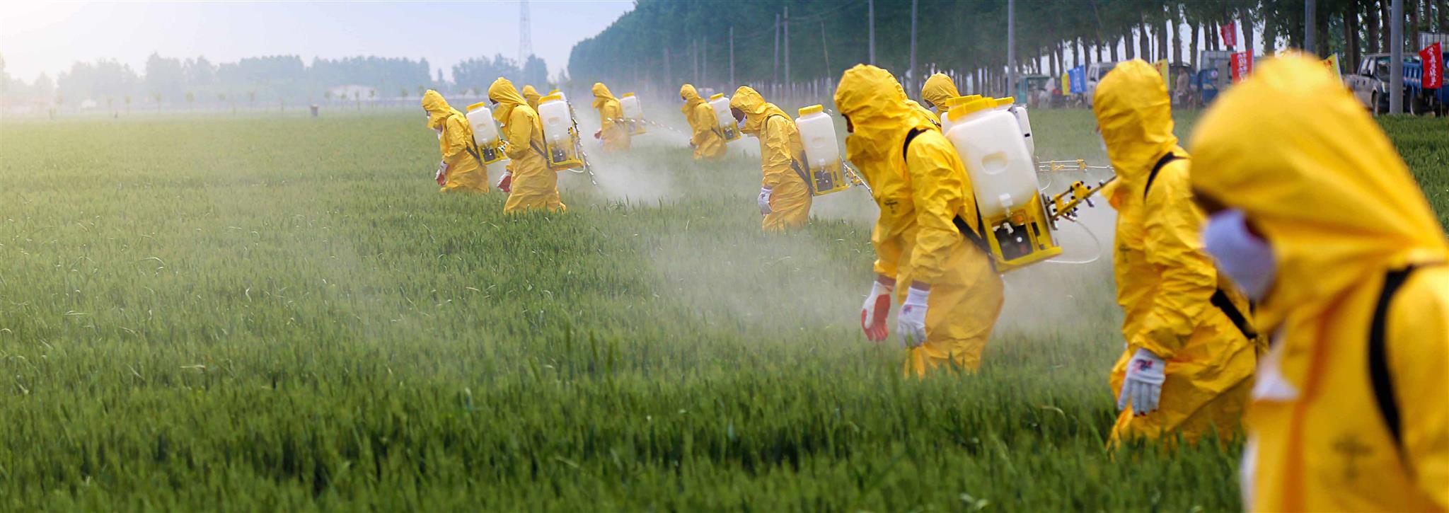 Game Over Glyphosate!
