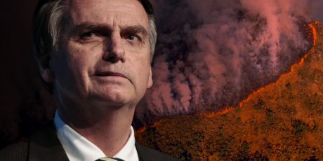 Presidente Bolsonaro: não faça isso com a Amazônia!