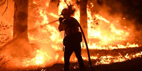 Join the call for a 100% clean world