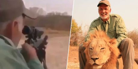 Join the call to end trophy hunting!
