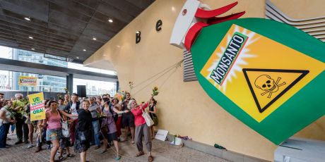 您是否願意吃嘉磷塞殘留穀物？