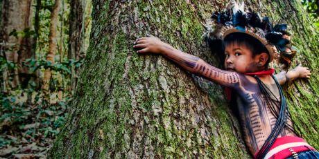 巴西：請停止濫伐亞馬遜雨林！