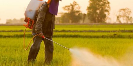 Ban chlorpyrifos!