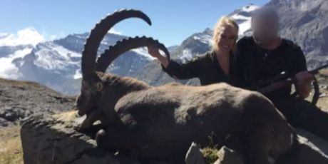 Trophäenjagd im Wallis verbieten!