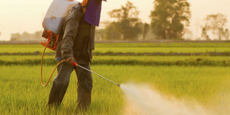 Chlorpyrifos verbieten!