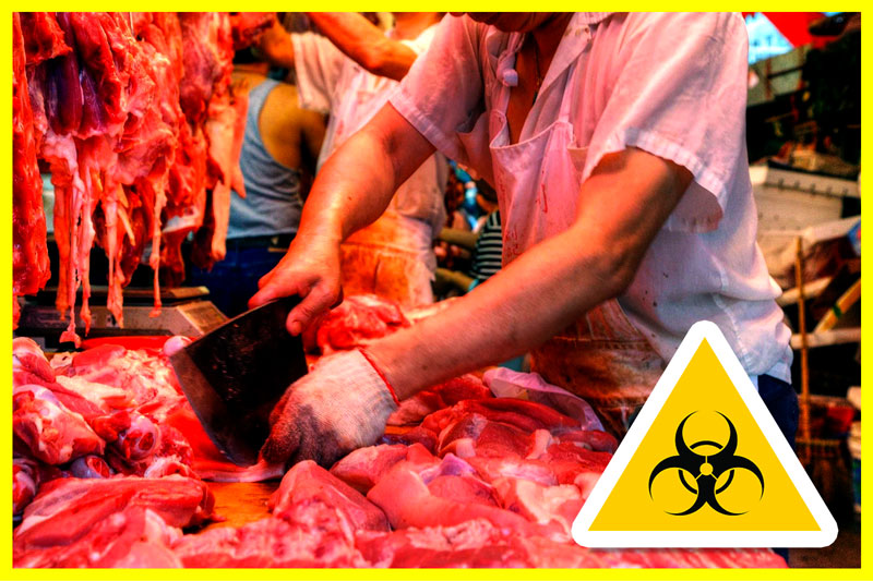 China: Ban the Wildlife Trade, Stop the next global killer
