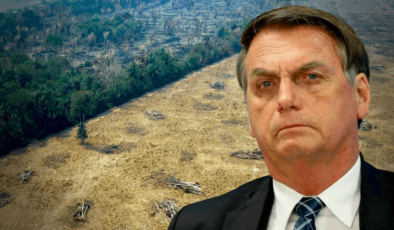 Arrêtons Bolsonaro: Mettons fin aux crimes contre la nature