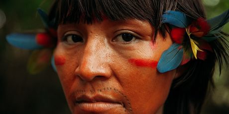 Stoppt das Massaker am Amazonas