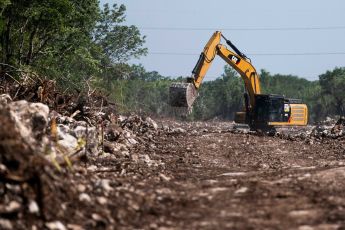 Stop Mexico's Maya Train Ecocide