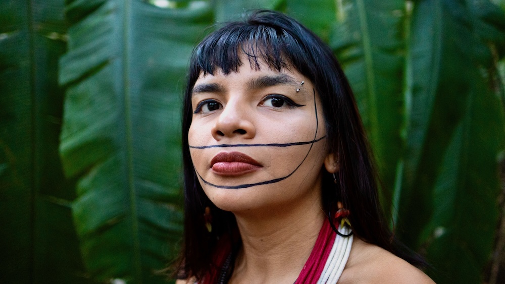 Protect the Amazon: Power Indigenous Voices