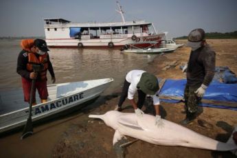 Stop drilling in the Amazon