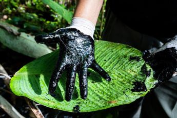Machen Sie mit bei der Bewegung gegen den Abbau fossiler Brennstoffe im Amazonasgebiet