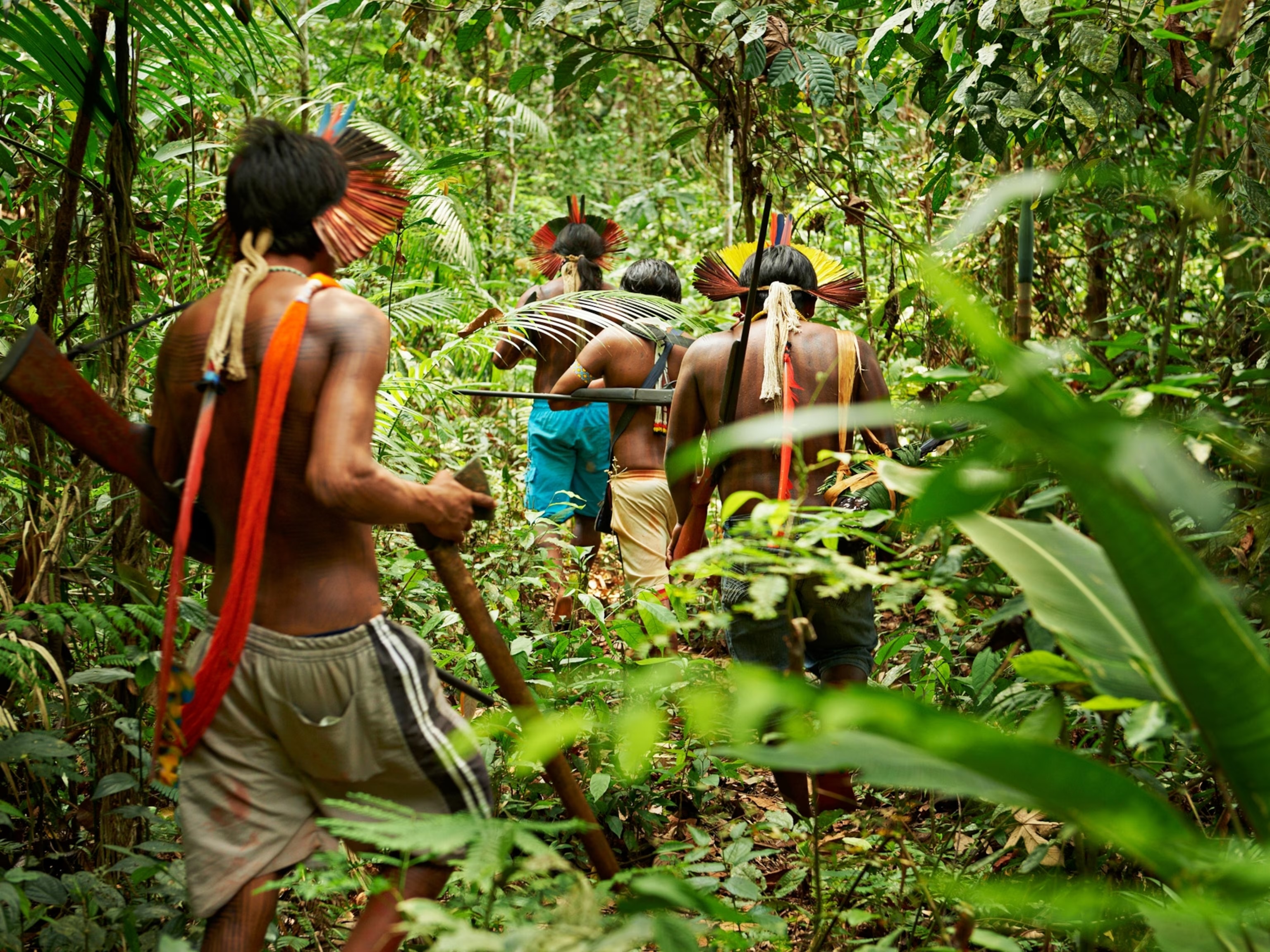 Indigenous territories contain almost half the Amazon’s intact forests.