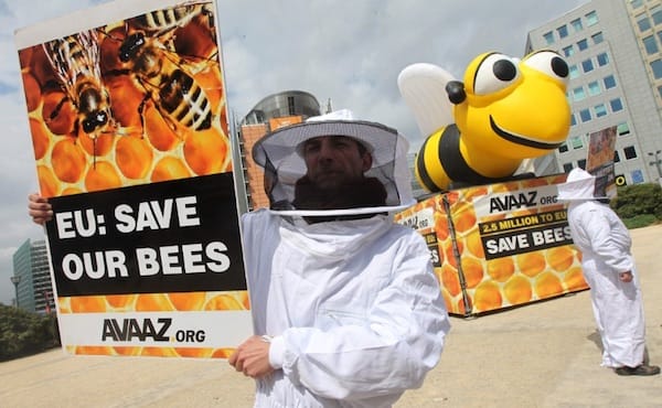 Pesticides tueurs d'abeilles : la mobilisation par pétition a porté ses fruits (communiqué de  Avaaz) European_bees_find_pesticide_relief_rsz