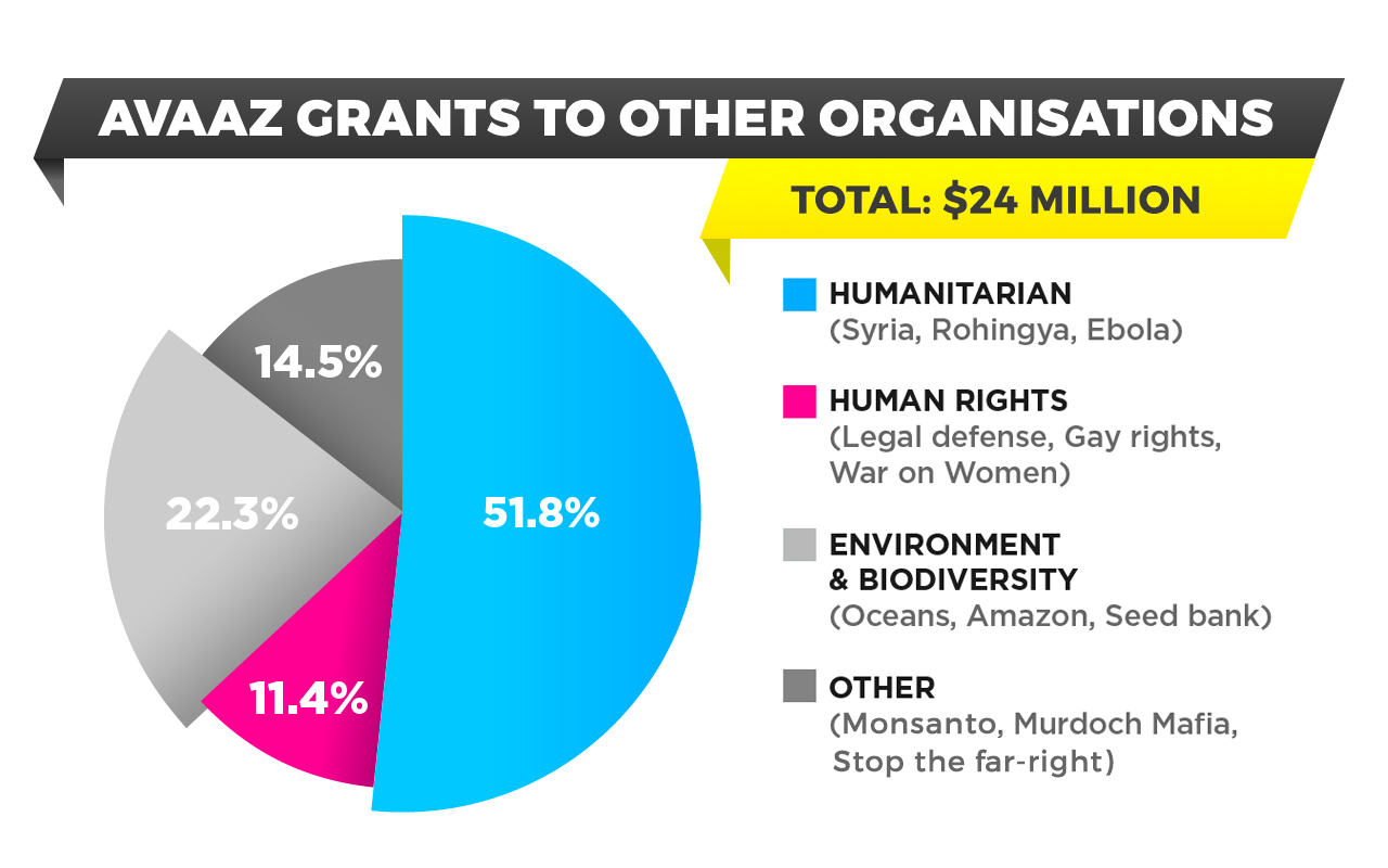 Donations Pie Chart