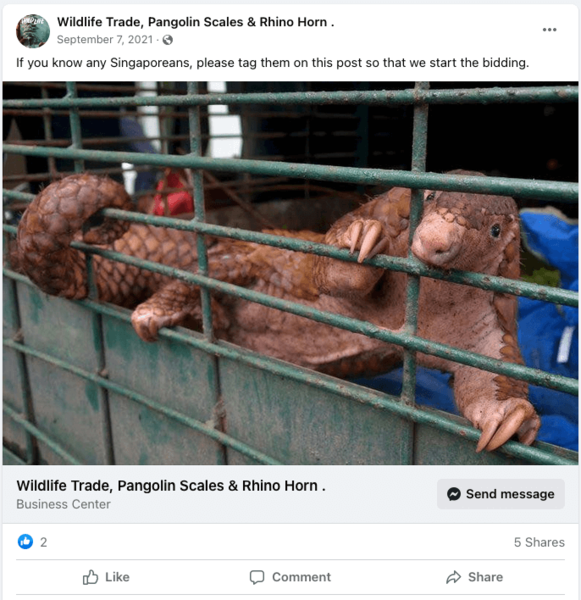 New Facebook alert informs users about wildlife trafficking, Stories