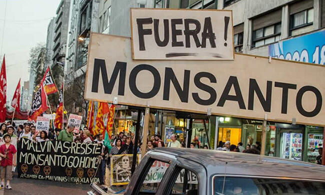 Adiòs Monsanto!