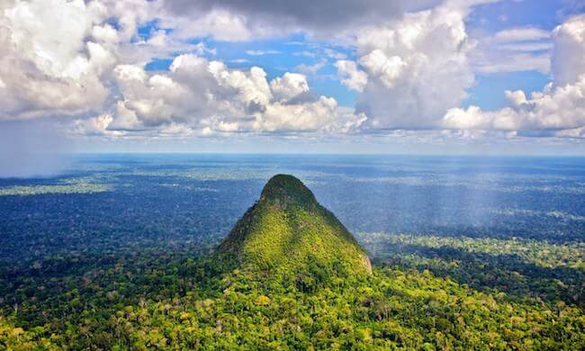 Proteggendo la Sierra del Divisor